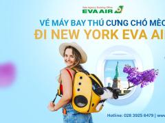 Dịch vụ đặt vé máy bay thú cưng chó mèo đi New York EVA Air